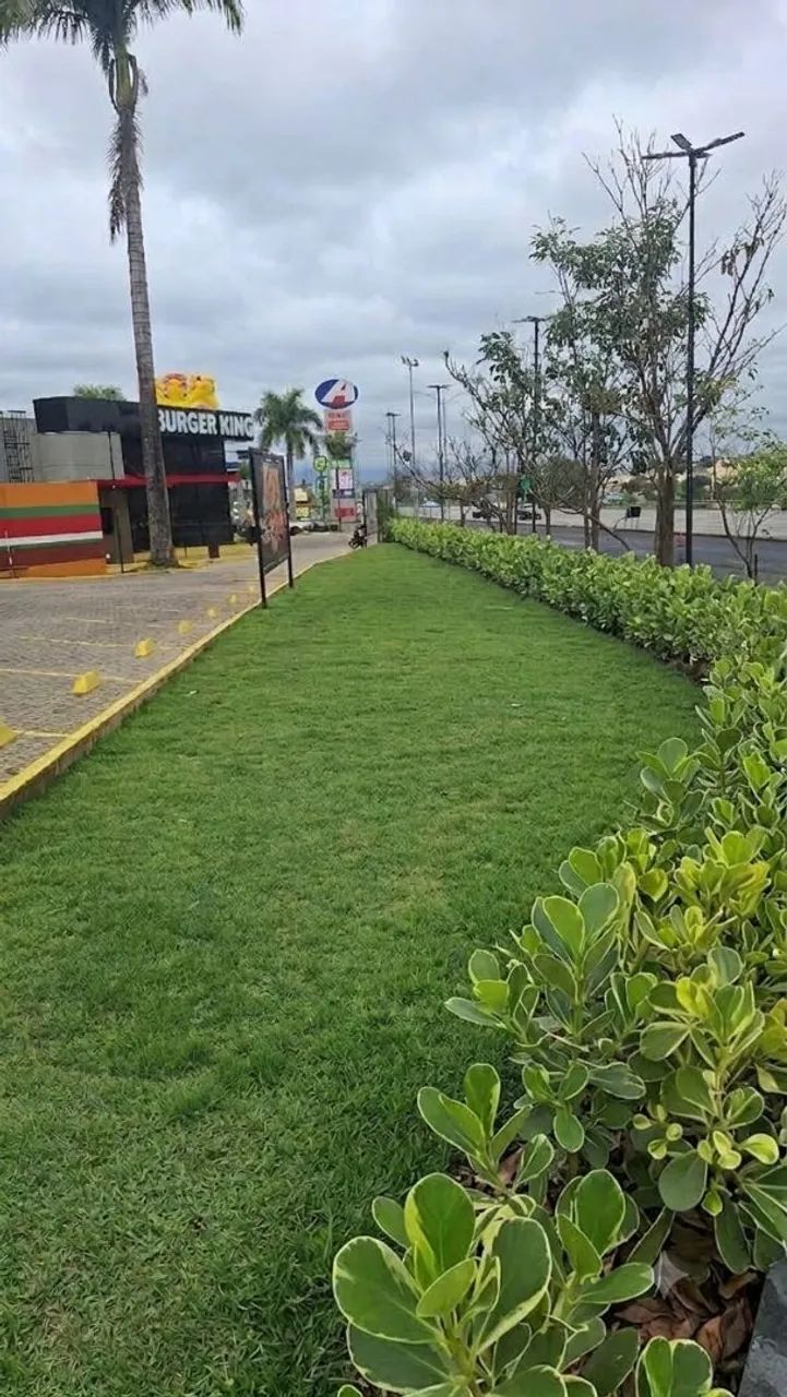 Jardineiragem/paisagismo  - Foto 2