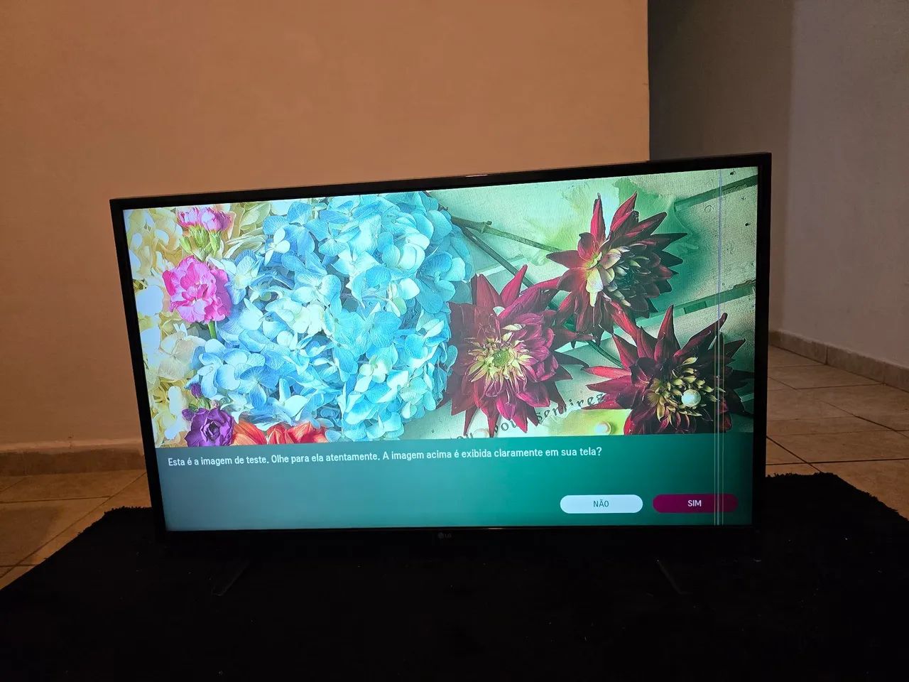 Tv LG 43 polegadas com defeito na tela - Foto 3