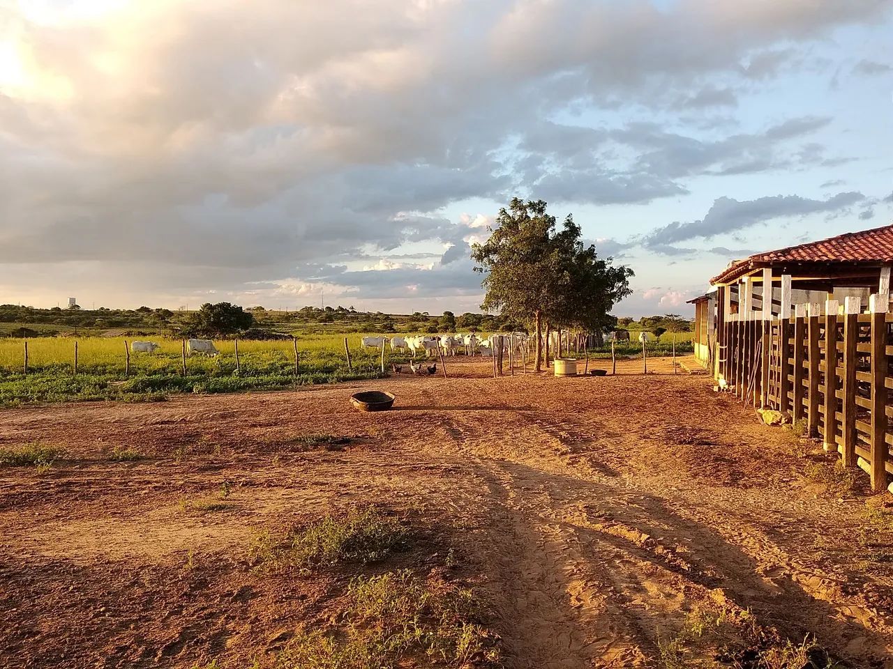 VENDO FAZENDA EM POÇO VERDE 