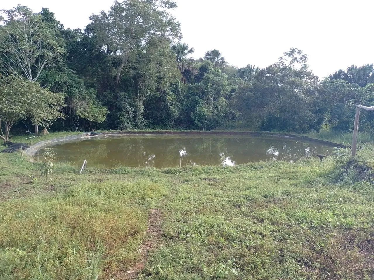 *FAZENDA NO MUNICÍPIO DE MIRACEMA -TO  - Foto 5