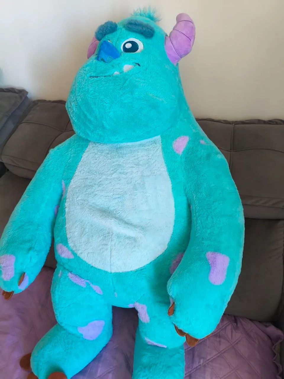 Sullivan Gigante - Foto 5