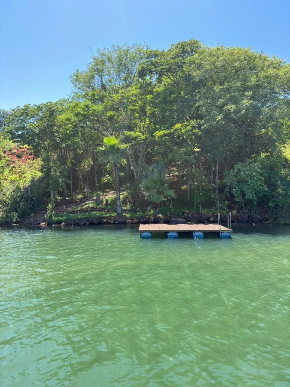 TERRENO COM CASA - Foto 3