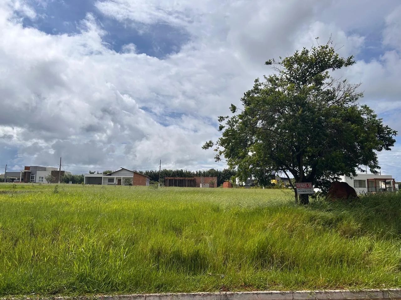 Foto - Bom Sucesso - Macaia