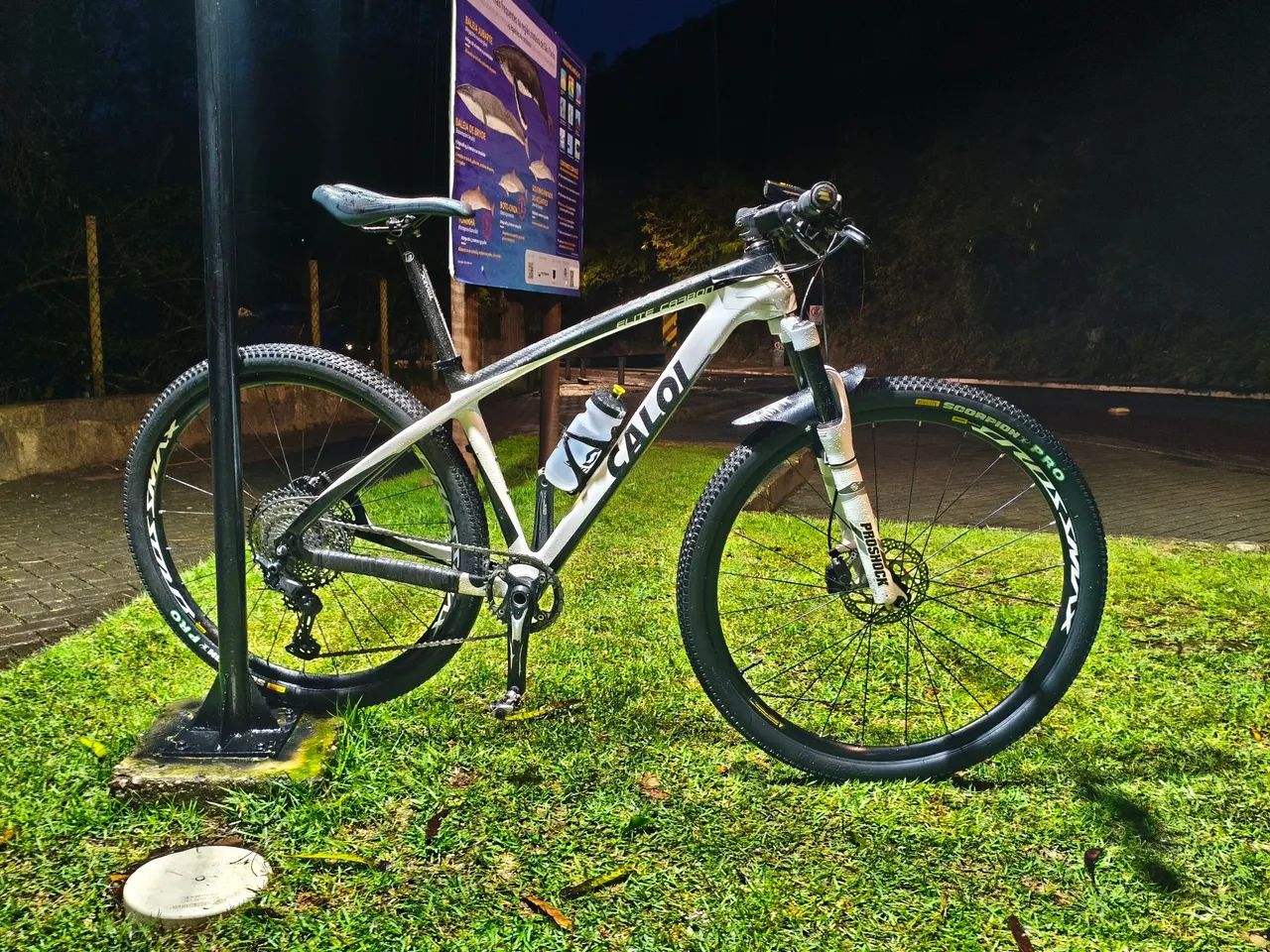Bicicleta 