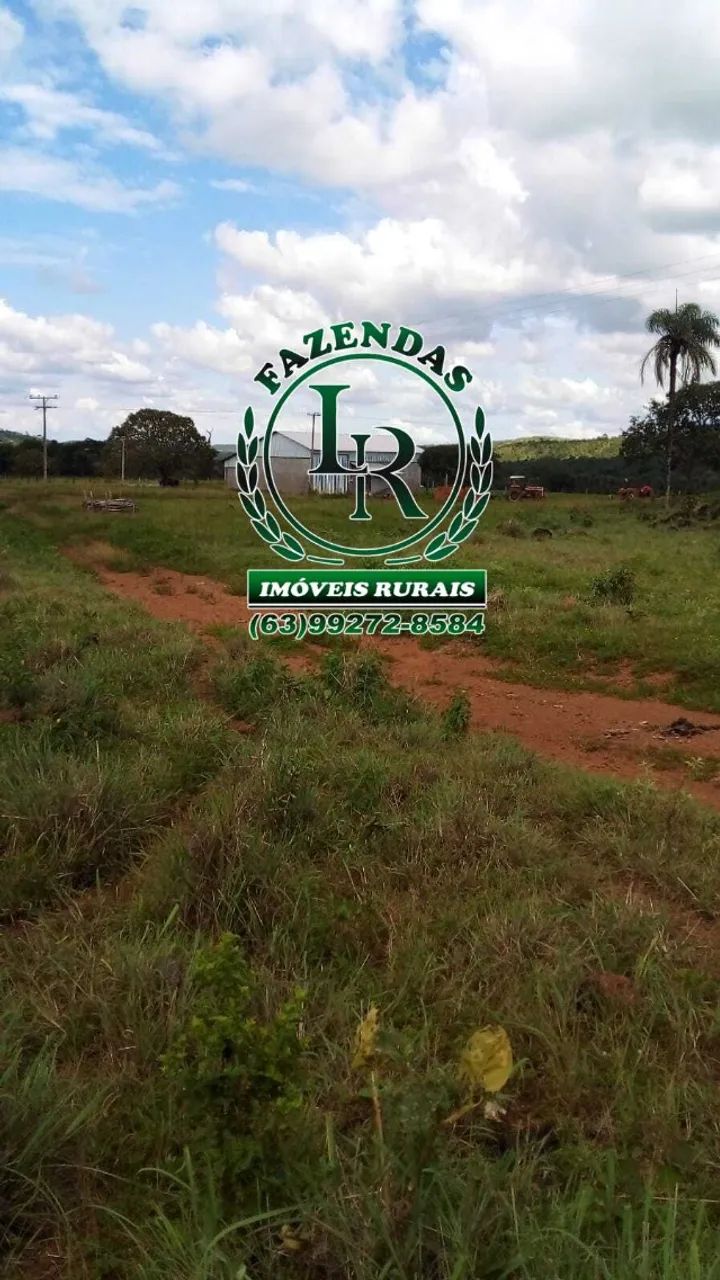 Fazenda 52 Alqueires Dupla Aptidão Região de Luzimangues - Foto 4