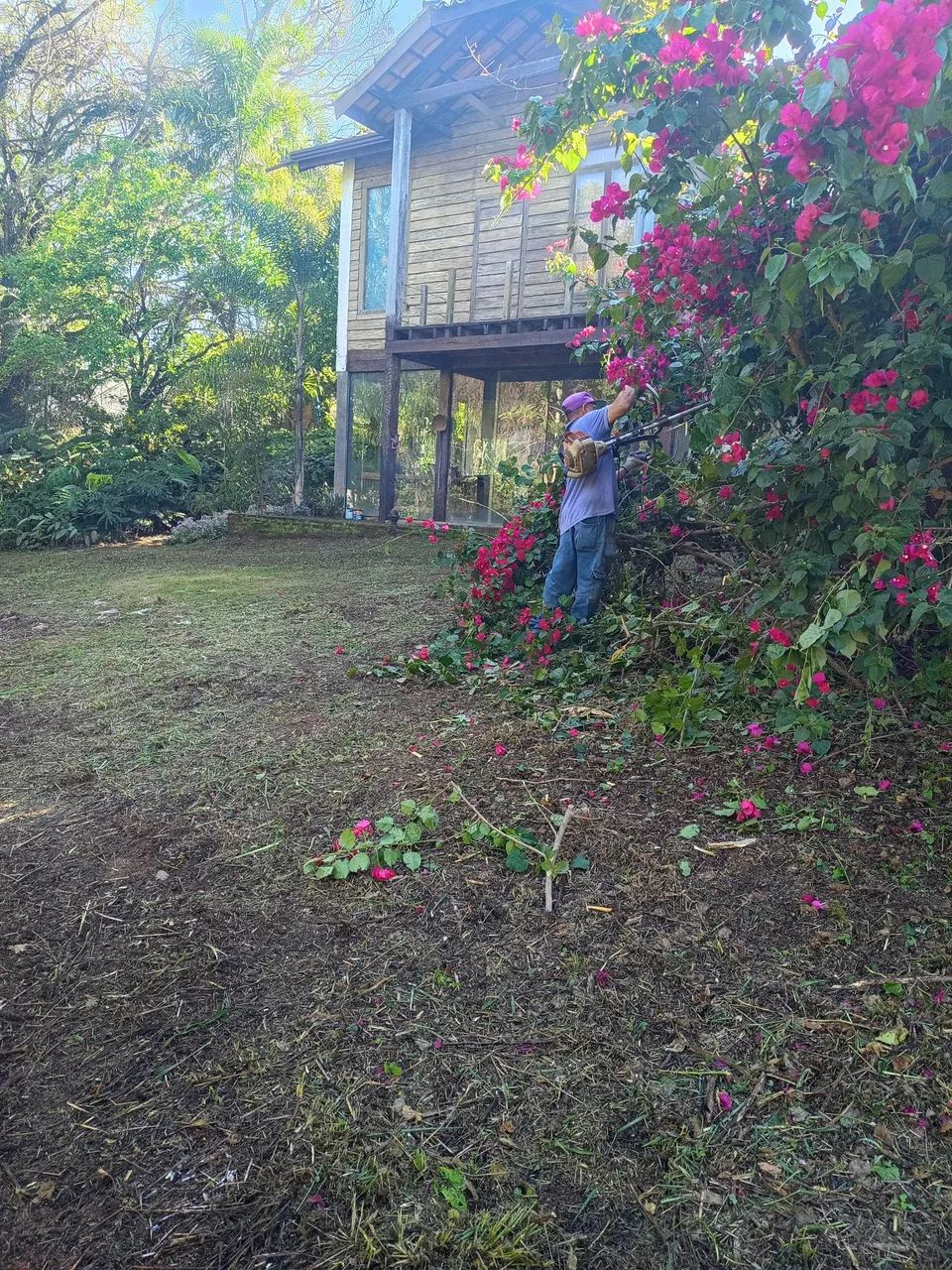 Roçagem  - Foto 5