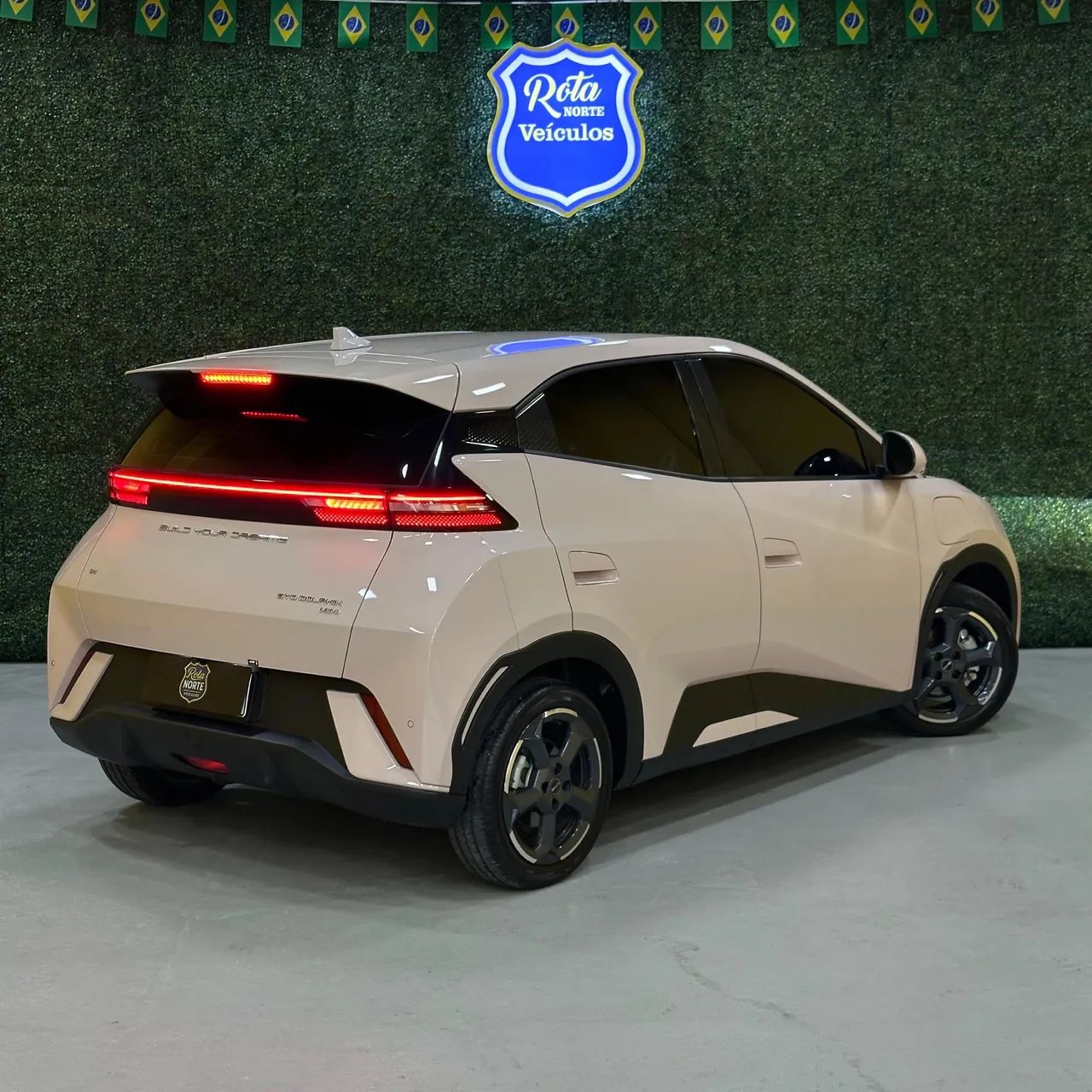 BYD Dolphin Mini (Elétrico) 2025 - Foto 2