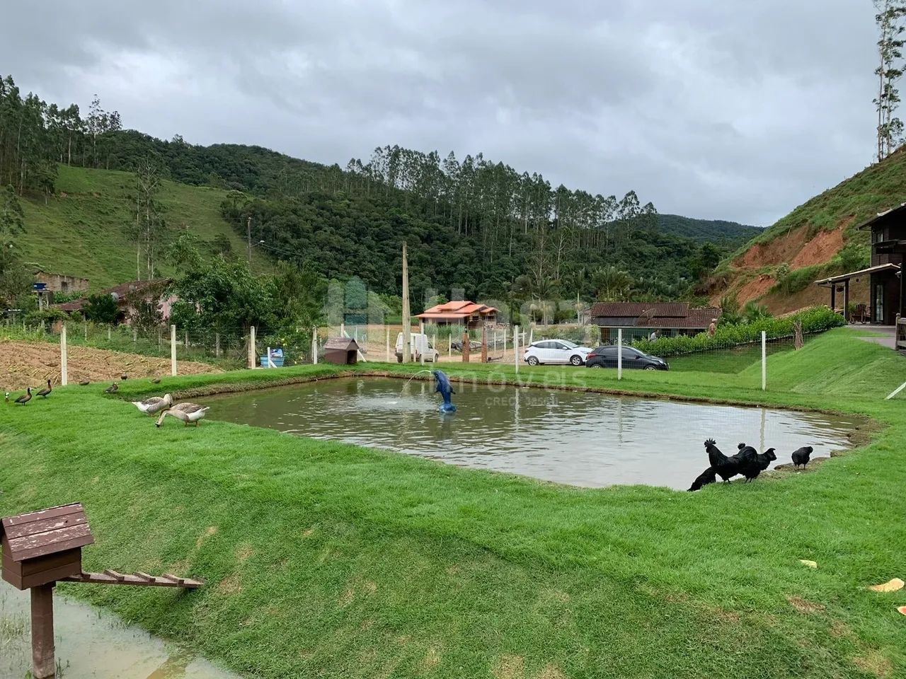 Sítio à venda em Major Gercino/SC - Foto 2