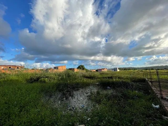 TERRENO PRA VENDER EM MARECHAL  - Foto 2