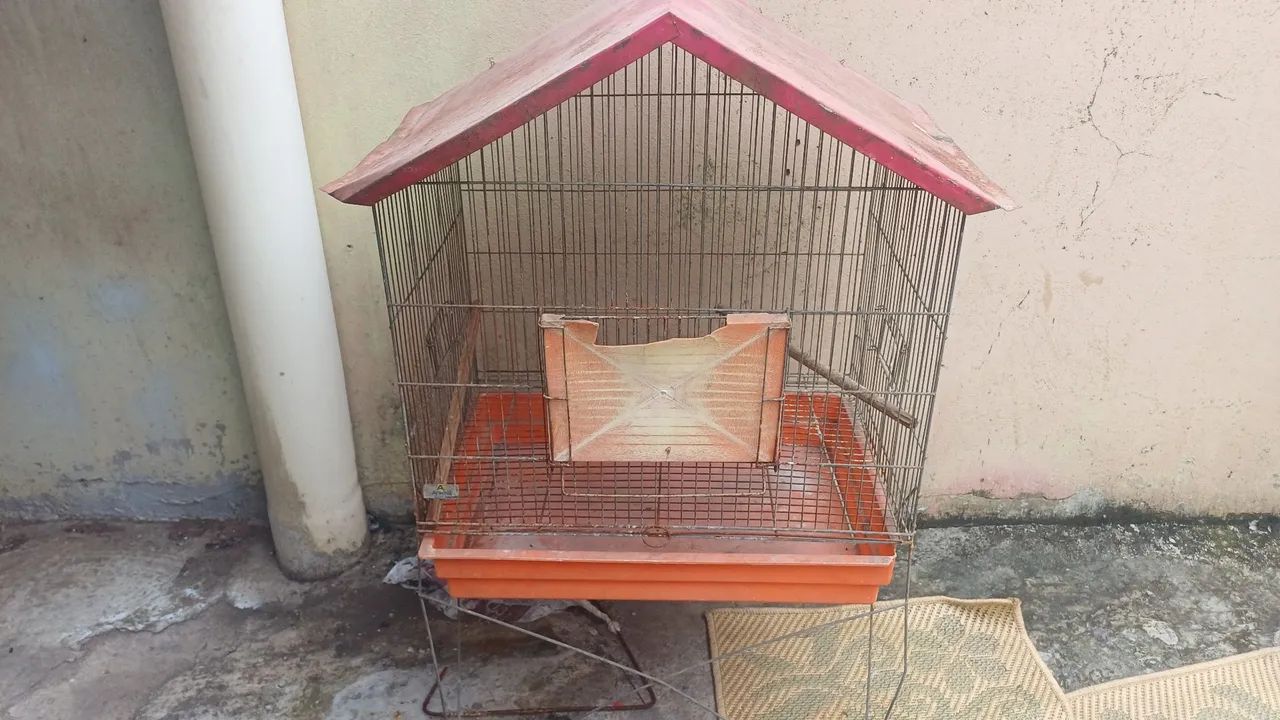 Gaiola de passarinho 