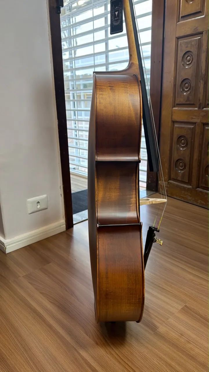 Violoncello Eagle CE 310  - Foto 3