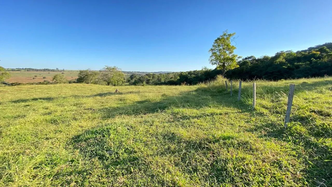 Fazenda em Aragoiânia, 15,8 hectares, 1km do asfalto, 10 km do centro de Aragoiânia, excel - Foto 11