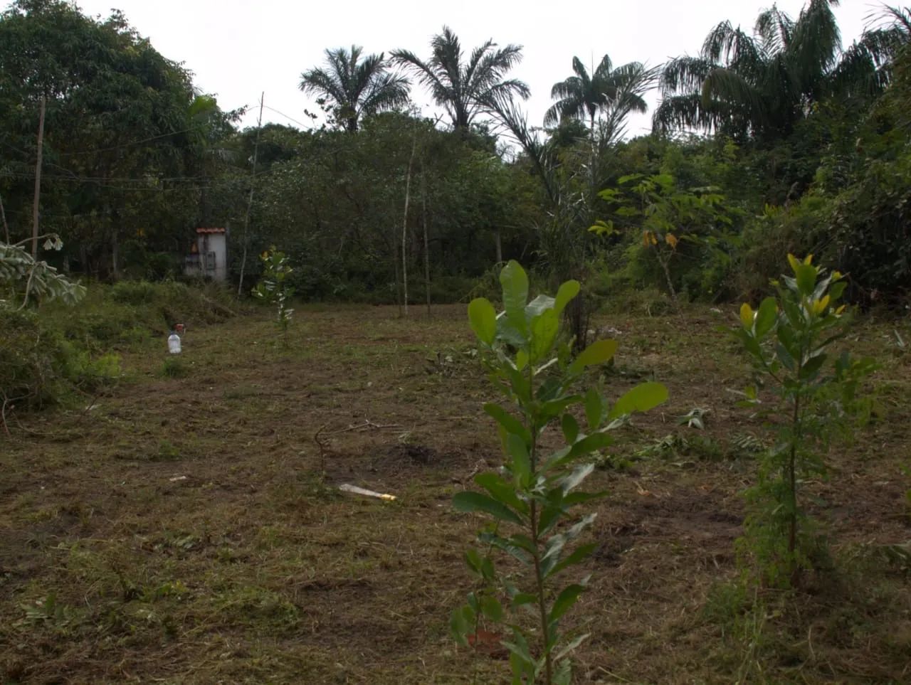 VENDE - SE TERRENO EM IRANDUBA - Foto 4