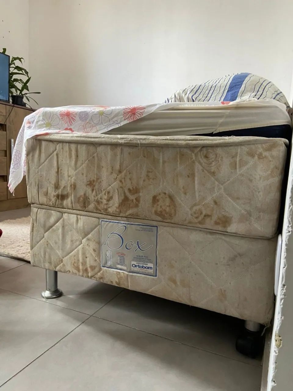 2 Camas de Solteiro ou 1 de Casal - Foto 4