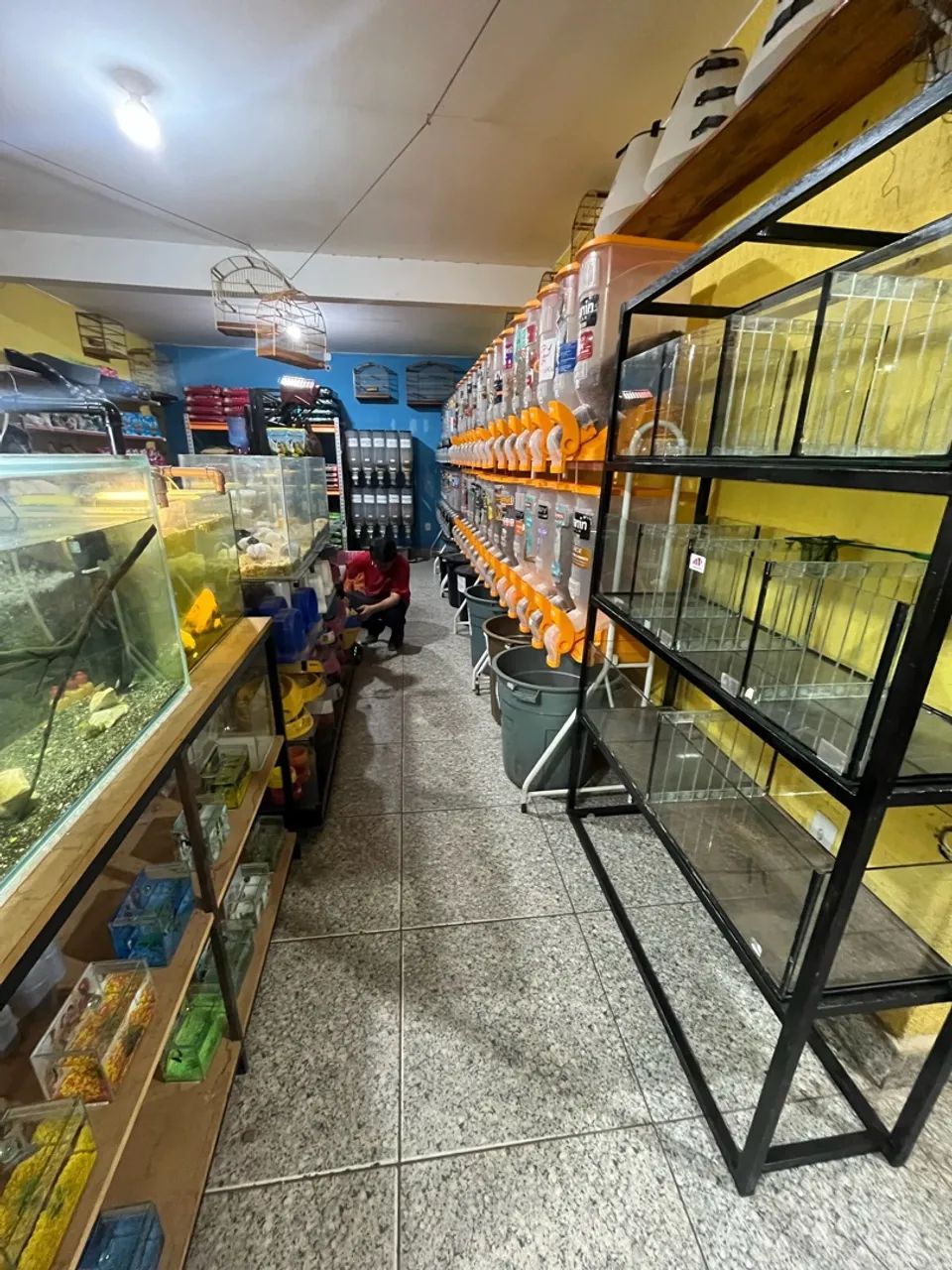 Vendo agropecuária!! - Foto 5