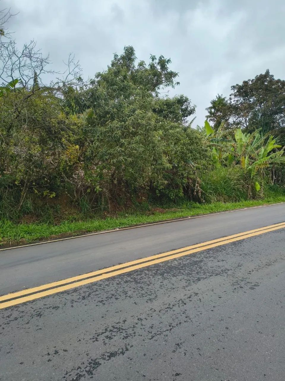 Terreno em Alfredo Chaves - Foto 3