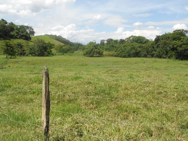 Jordão corretores - Fazenda 22 alqueires Cachoeiras de Macacu porteira fechada - Foto 2