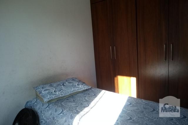 Casa à venda com 4 dormitórios em Alto caiçaras, Belo horizonte cod:221539 - Foto 10
