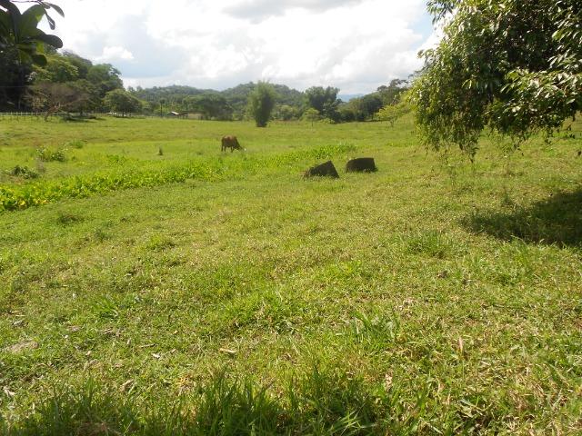 Jordão corretores - Fazenda 22 alqueires Cachoeiras de Macacu porteira fechada