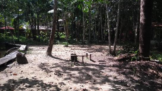 200 mil pra fechar o negocio Linda chácara no papuquara com uma casa com 3/4 ,sala,cozinha - Foto 14