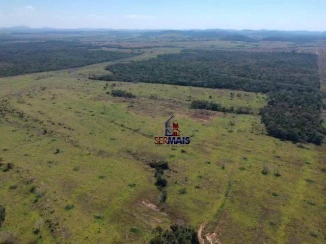 Fazenda na beira da BR 364 próximo à Cacoal - Foto 2