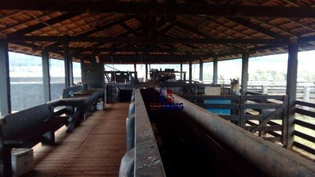 Belissima Fazenda Rural Espigão do oeste/RO - Foto 8