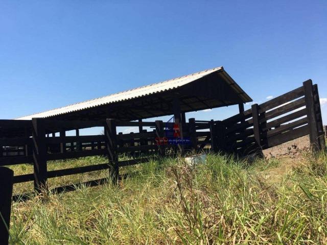 Fazenda na beira da BR 364 próximo à Cacoal - Foto 14