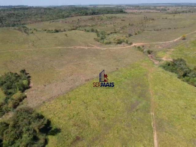 Fazenda na beira da BR 364 próximo à Cacoal - Foto 7