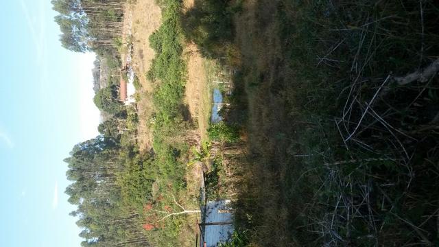 Fazenda na região de Carandai , MG* 20 hectares - Foto 19