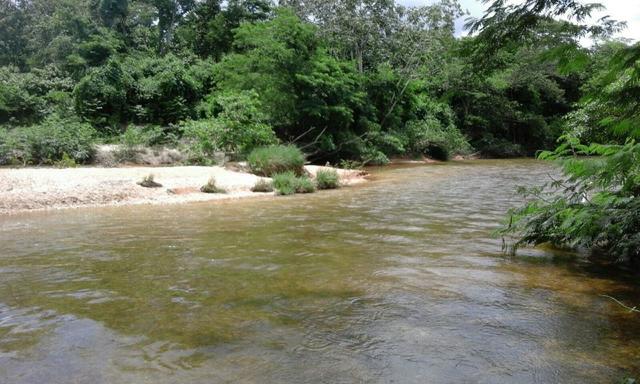 Vendo Terrenos de 200 mts atras do Belvedere (agende sua visita) - Foto 13