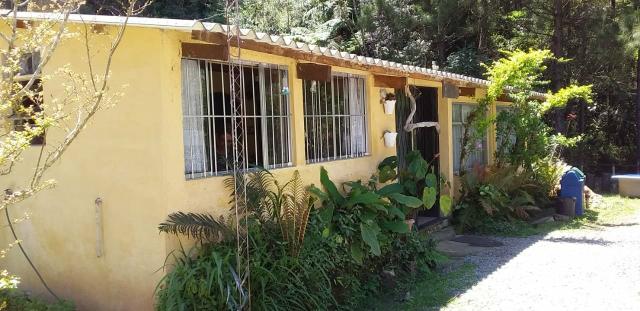Sitio/ Chácara para Alugar/Palmeiras Suzano - Foto 19