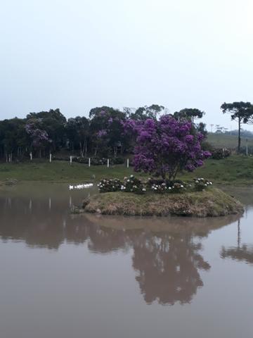 Vendo sitio