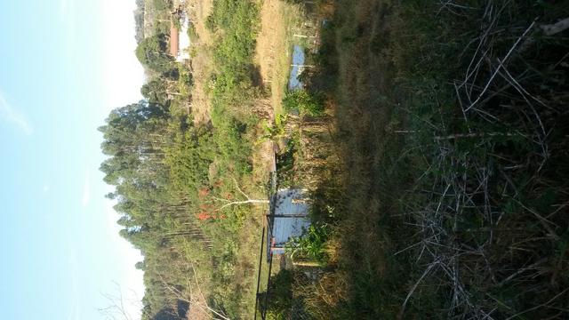 Fazenda na região de Carandai , MG* 20 hectares - Foto 17