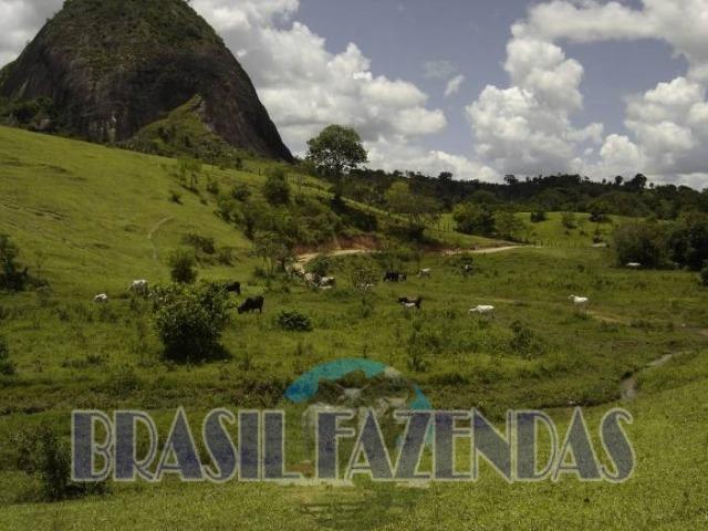 Fazenda em Itamaraju. Jucuruçu - Foto 3