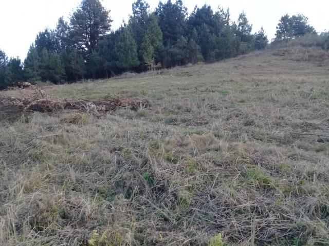 Chácara no Campestre com linda vista para a serra do mar - Foto 2