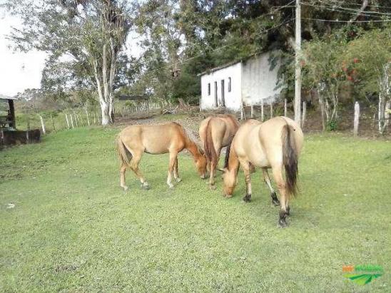 Fazenda para venda em itabuna, br 101, 3 dormitórios, 1 suíte, 3 banheiros