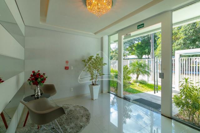 Apartamento para alugar com 2 dormitórios em Rodrigues, Passo fundo cod:8341 - Foto 4