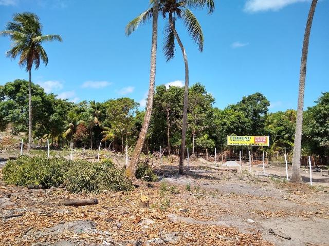 Lotes/Terrenos - Fragoso- Olinda - Foto 6