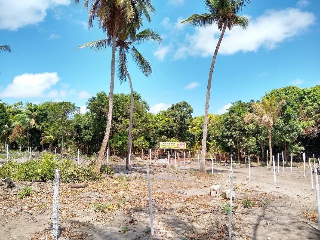 Lotes/Terrenos - Fragoso- Olinda - Foto 3