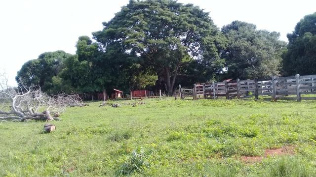 Fazenda de 138 alqs. na região de Dois Irmãos - Foto 10