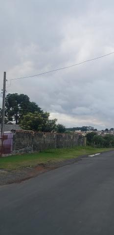 Lote terreno em lages SC bairro Guarujá 90 mil - Foto 11
