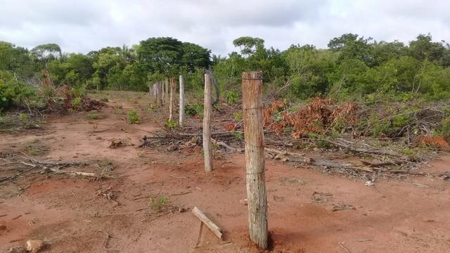 Fazenda de 138 alqs. na região de Dois Irmãos - Foto 5