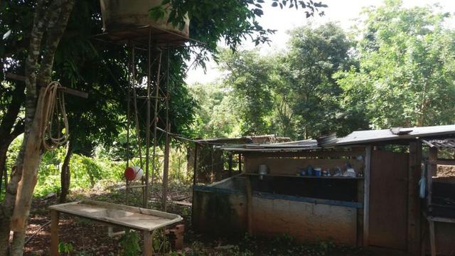 Chácara casa de campo, lazer e pescaria. 5.000m2, beira do rio Turvo (Turvania) - Foto 9