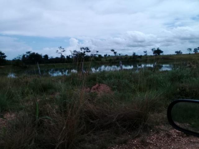 Fazenda de 840 alqs. dupla aptidão Proxima de Dois Irmãos - Foto 7