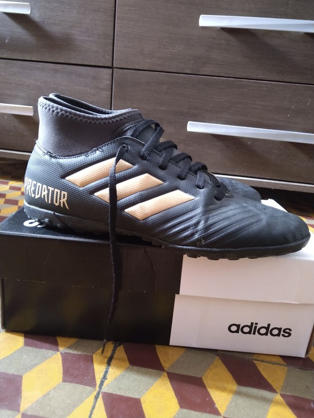 adidas predator ginnastica