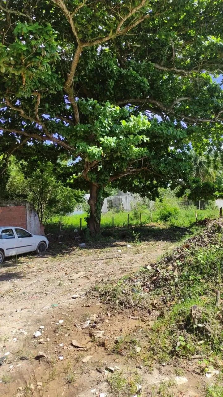 Terreno à venda no bairro Cajazeiras de Abrantes (Abrantes) em Camaçari/BA - Foto 6