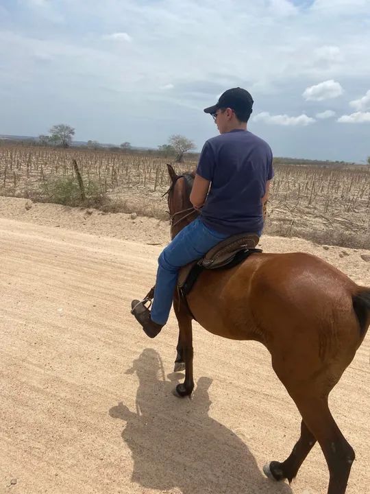 Vendo égua mestiça boa toda  - Foto 3