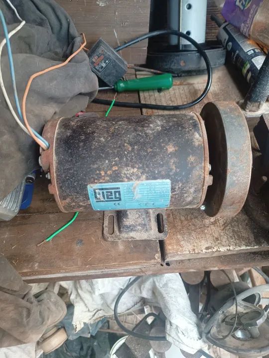 Motor para Esteira Ergométrica - WEG