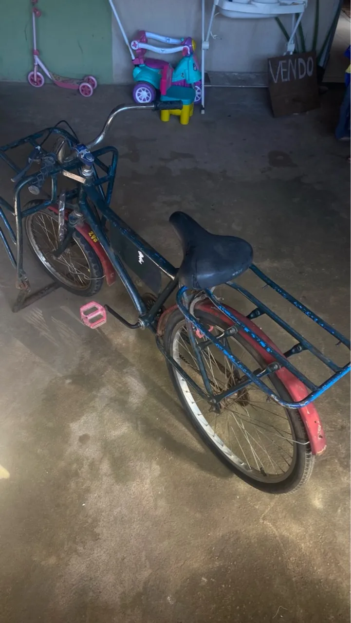 Bicicleta cargueira