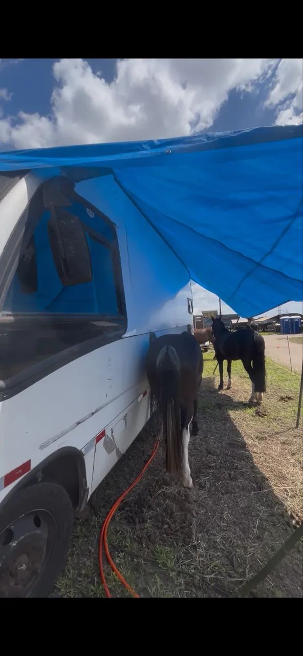 Micro ônibus 812 turbinado, motor casa. - Foto 2